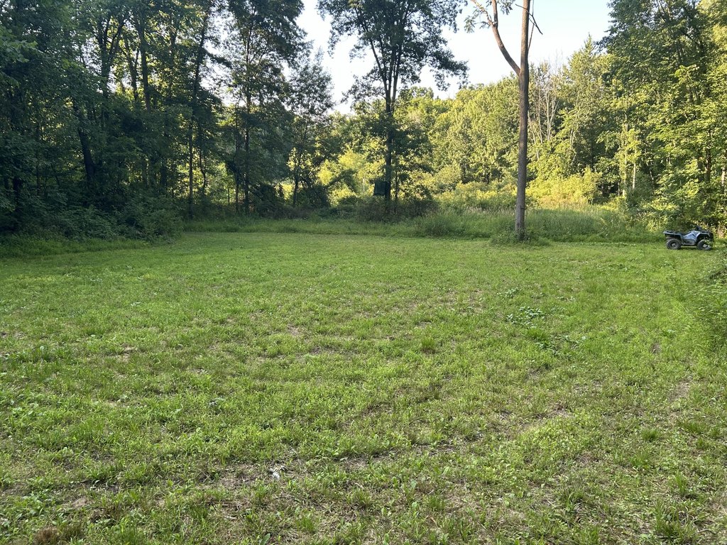 Picture 28