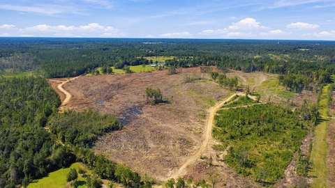 Land, Leakesville, MS