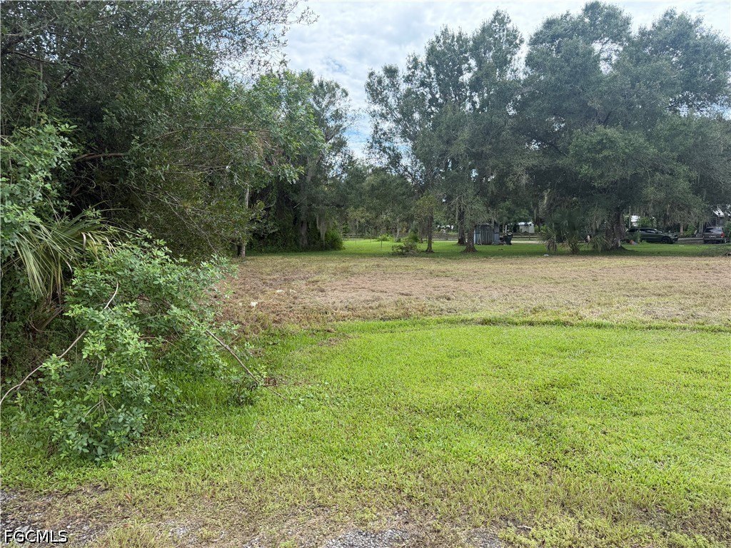 Picture 6