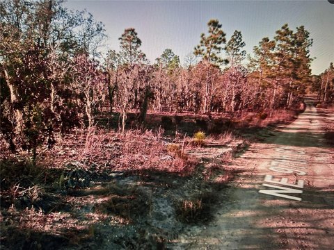 LAND - BRONSON, FL