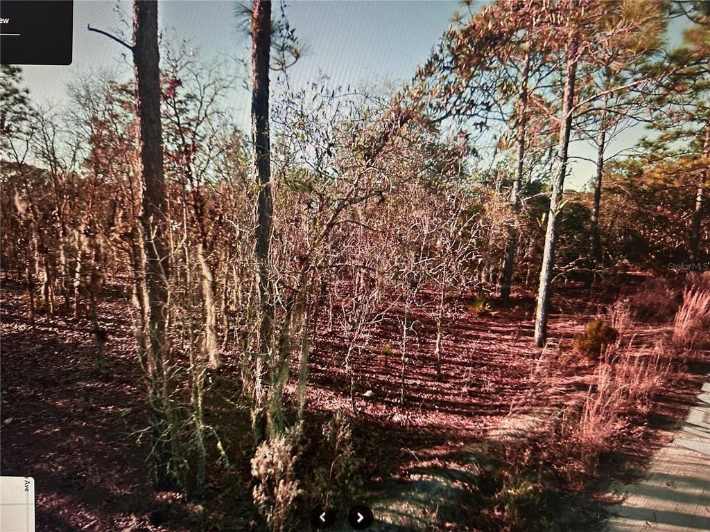Picture 2