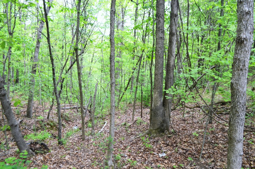 Picture 9
