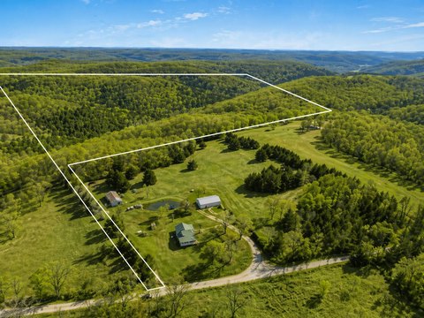 Ozark Wooded Land For Sale