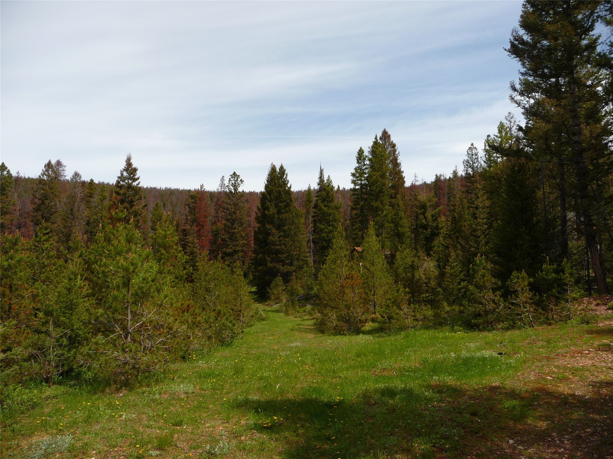 LAND - Lincoln, MT