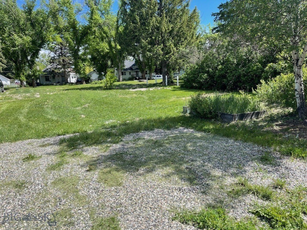 Picture 11