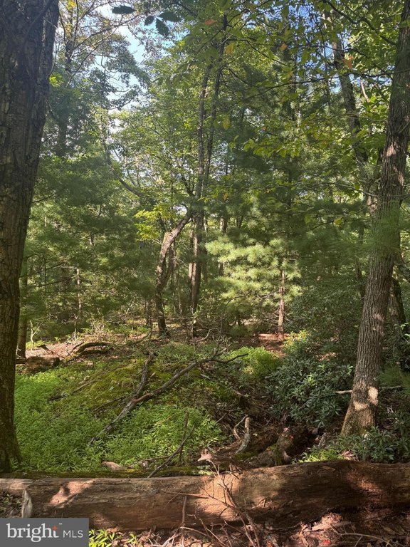 Picture 7