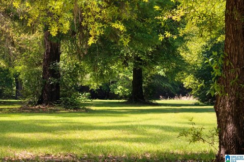 Riverfront Land in Gated Community