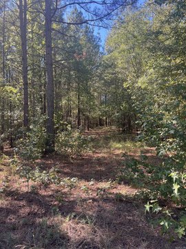 Vacant Land, Glenwood, AR
