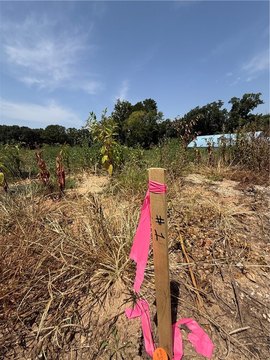 LAND - Seligman, MO