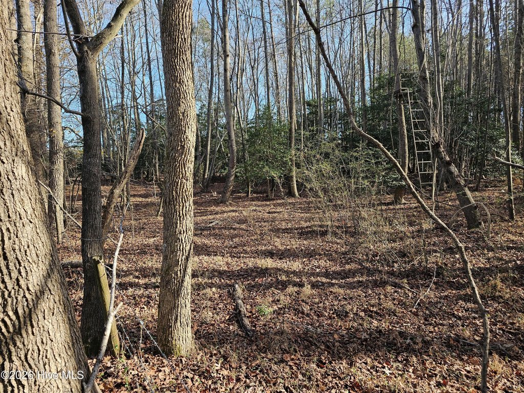 Picture 10