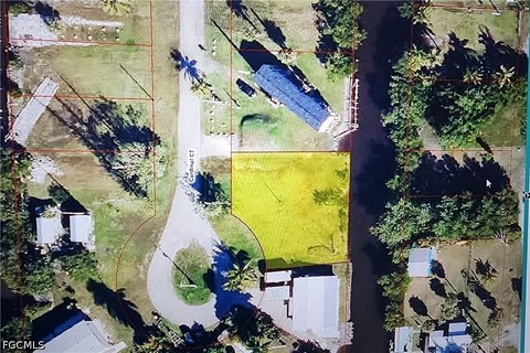 Land, Everglades City, FL