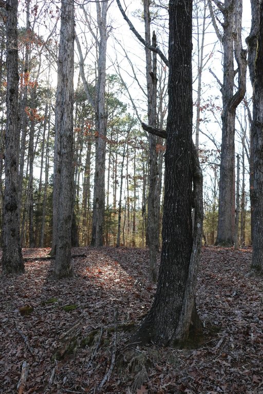 Picture 8