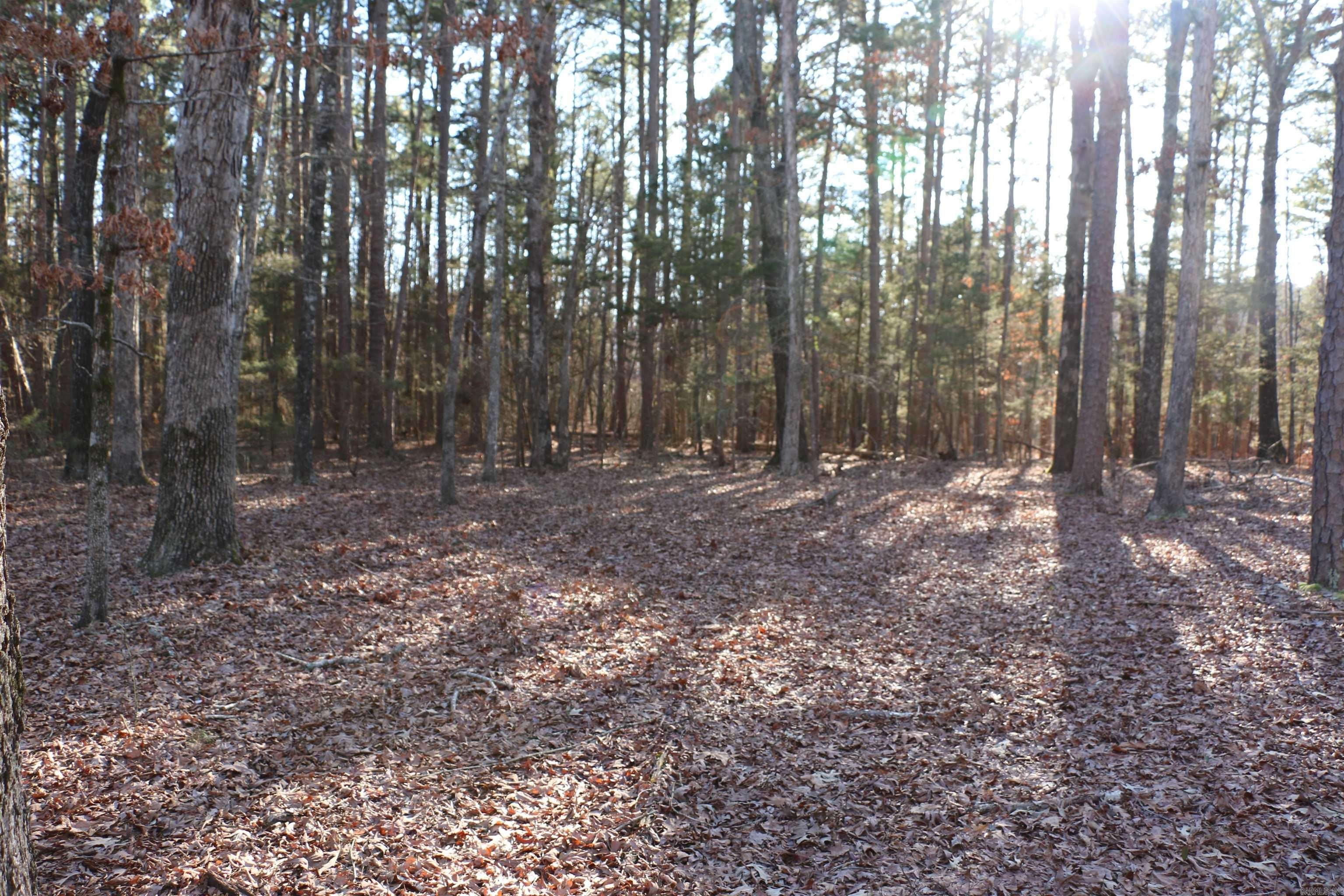 Lakeside Lot in Fairfield Bay