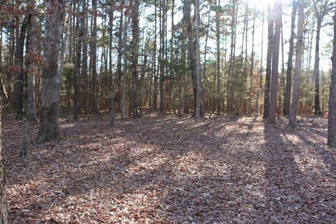 Lakeside Lot in Fairfield Bay
