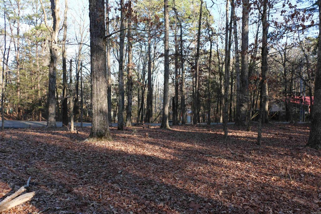 Picture 12