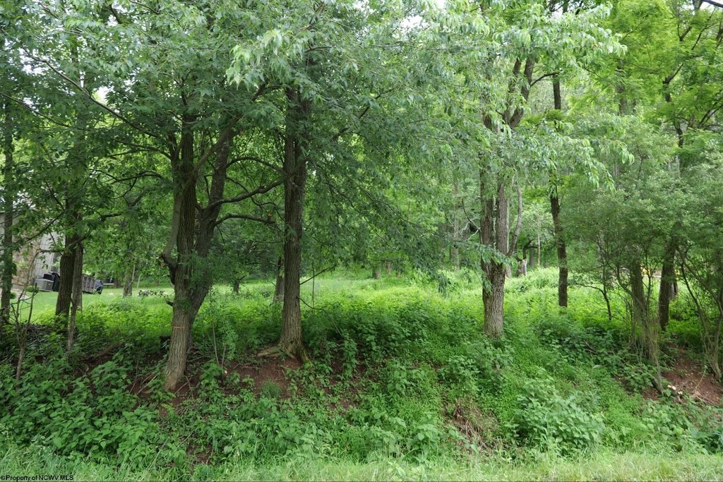 Picture 4