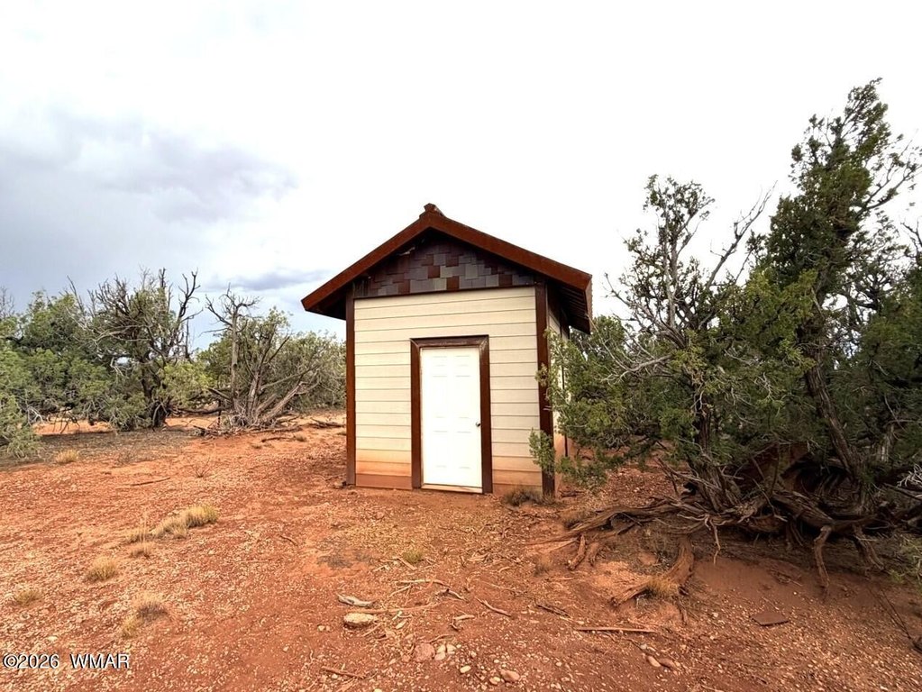 Picture 7