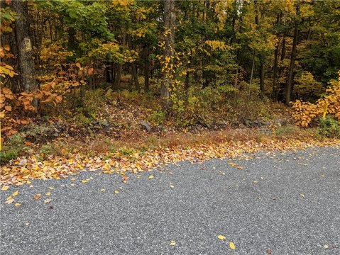 Land, Penn Forest Twp, PA