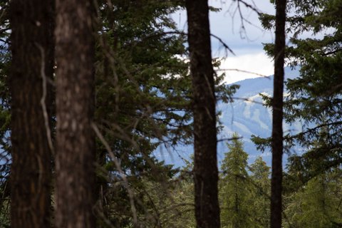 Whitefish Homesite in Woodlands Neighborhood