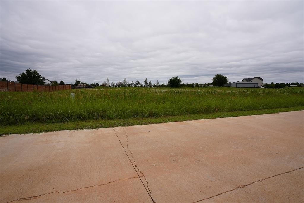 Picture 42