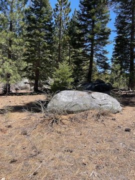 Ponderosa, CA Acreage Opportunity