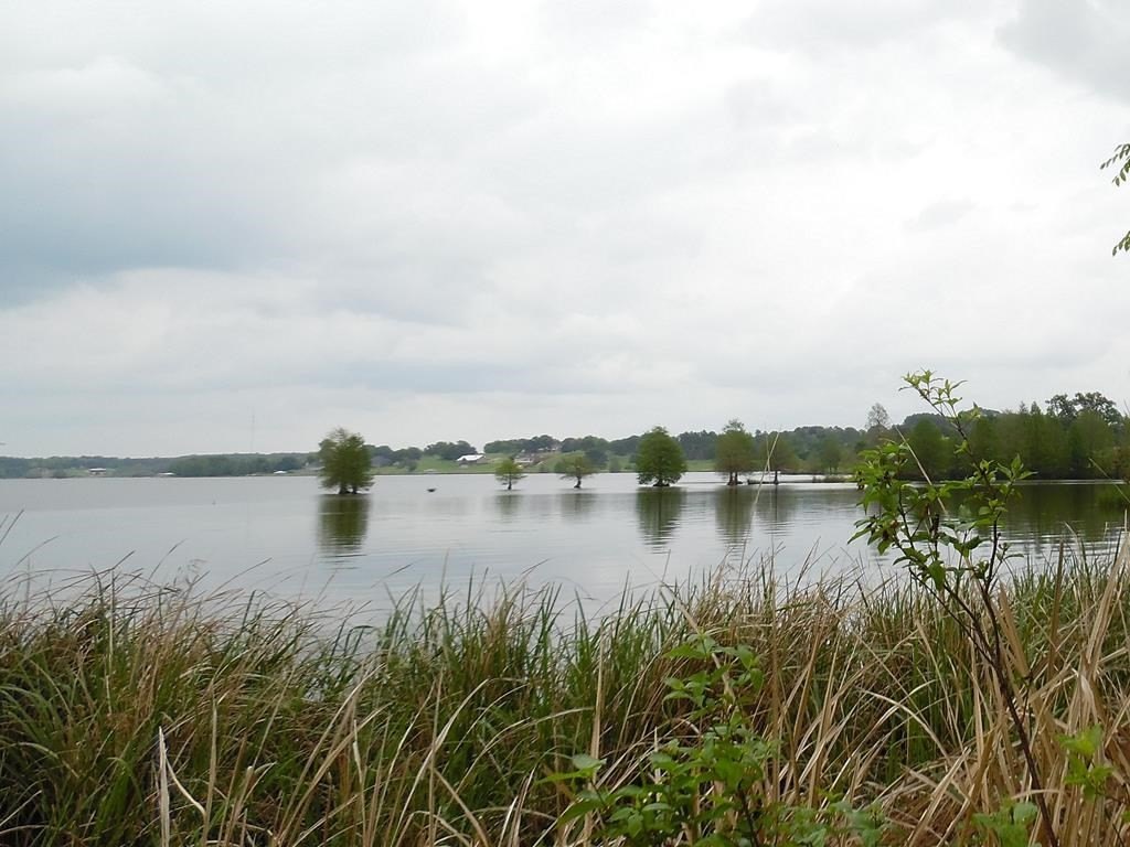 Picture 27