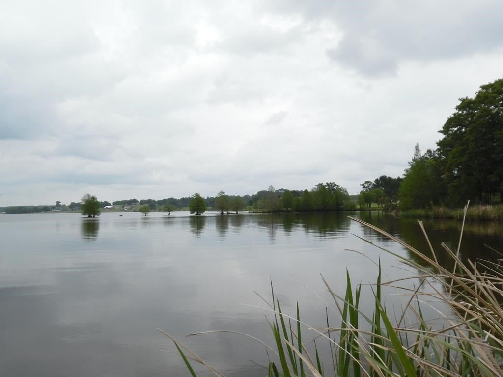 Picture 21