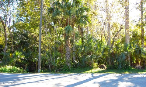 Land in Established New Smyrna Beach