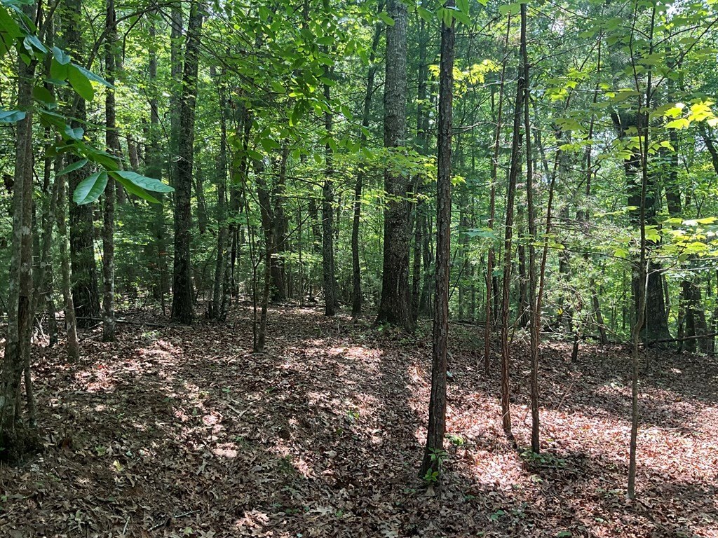 Picture 13