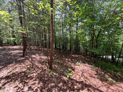 Vacant Lot in Murphy, NC
