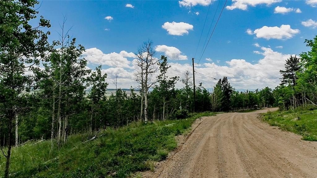 Picture 5