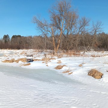 Island Property on Pine River