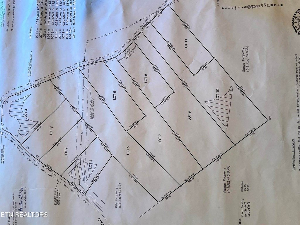Picture 10