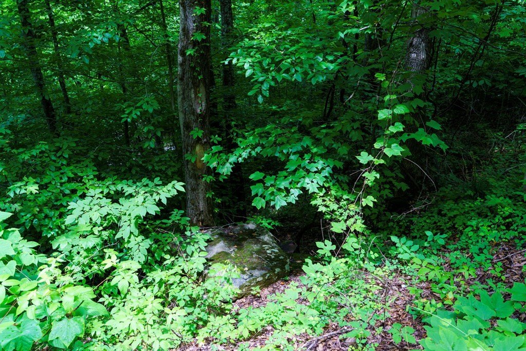 Picture 20