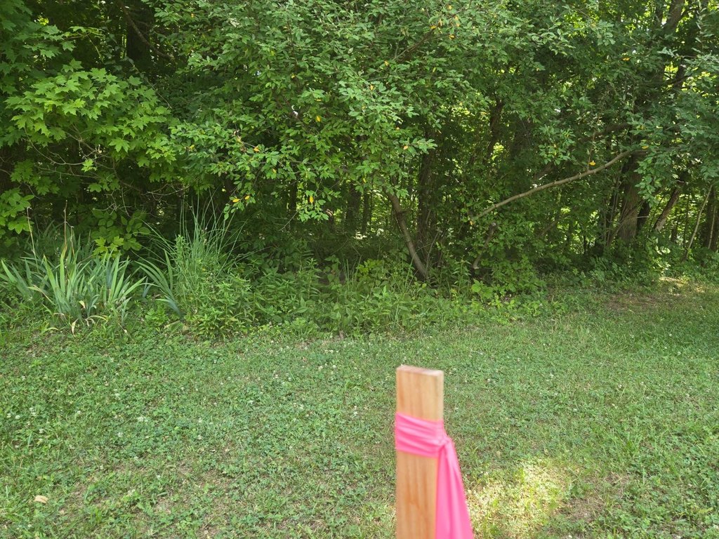 Picture 13