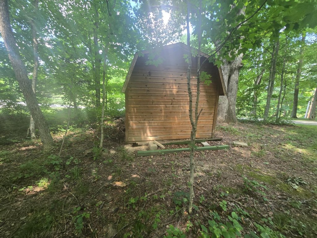 Picture 12