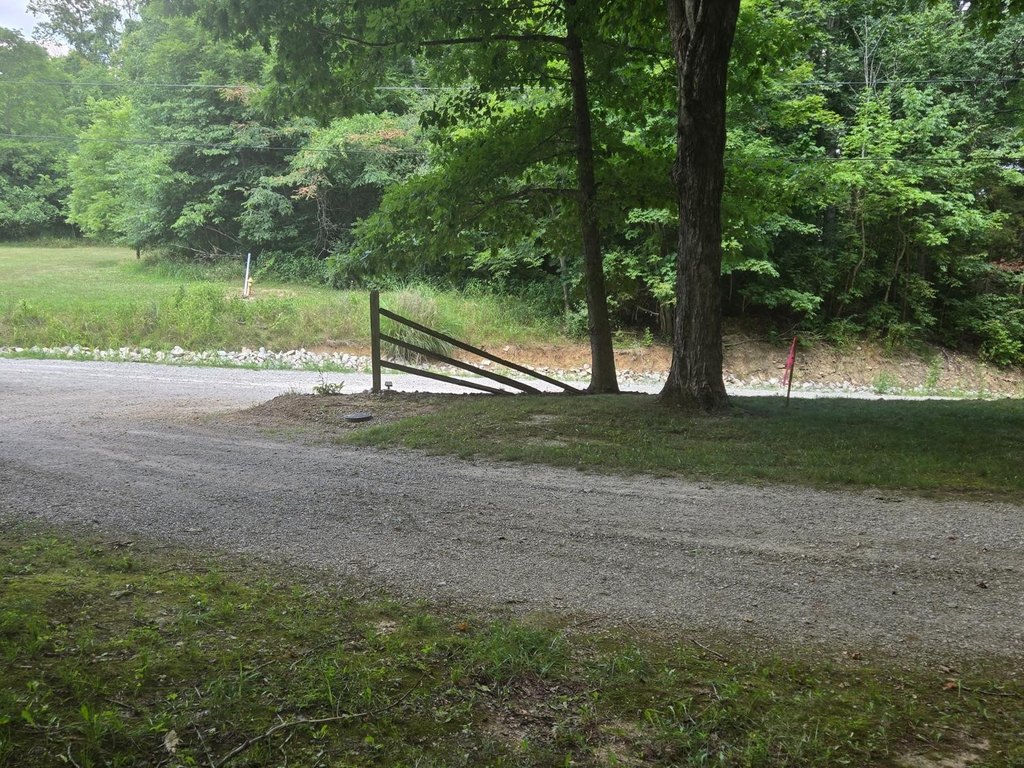 Picture 8