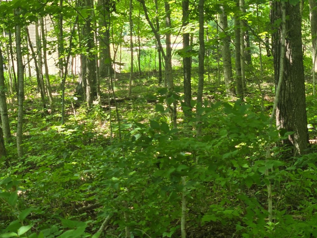 Picture 5