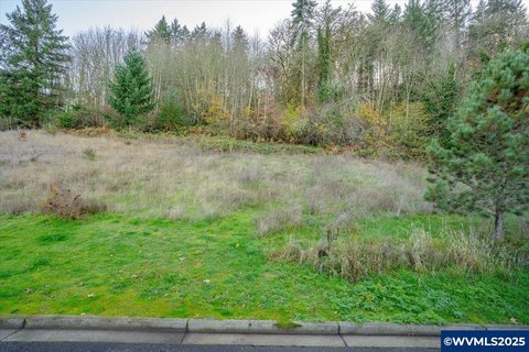 Developed Lot Ready to Build