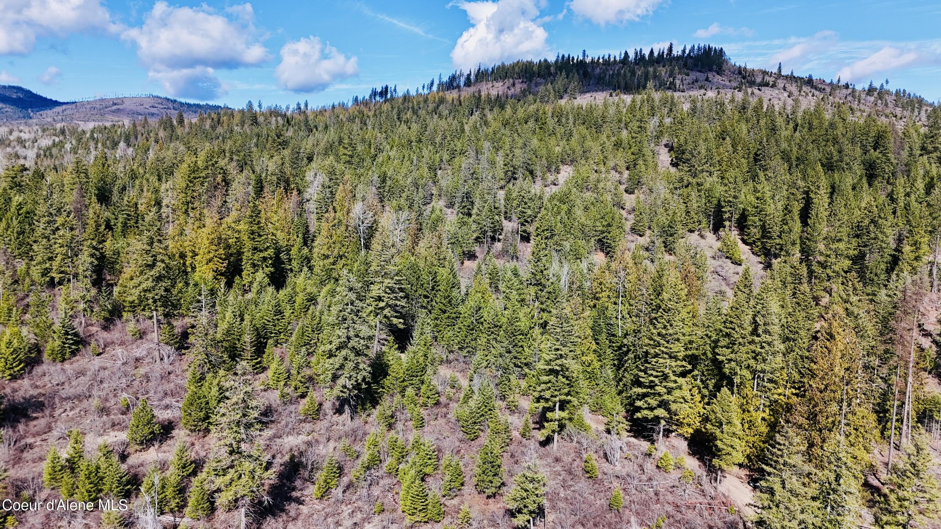 20 Acres of North Idaho Land