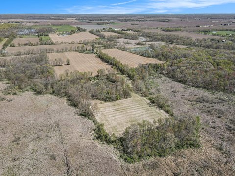 64+ Acre Schoolcraft Land Parcel