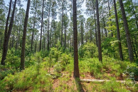 LAND - Carlton, GA