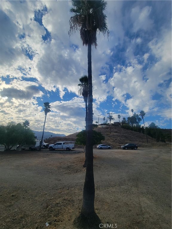 Picture 3