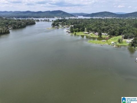LAND/LOTS, OHATCHEE, AL