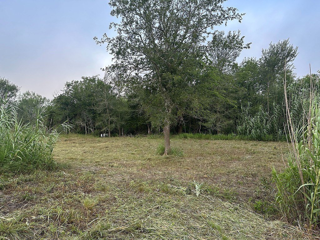 Picture 3
