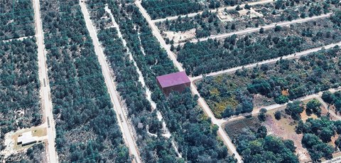 Land, Lake Placid, FL