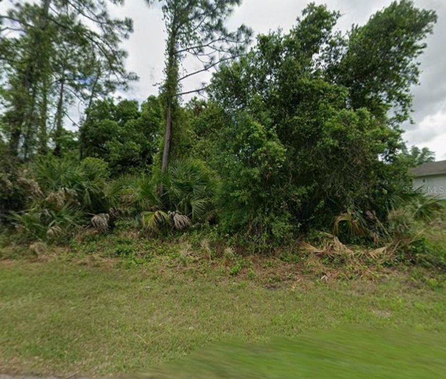 Picture 3
