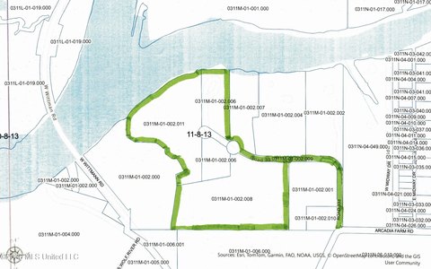 32 Acres on Wolf River