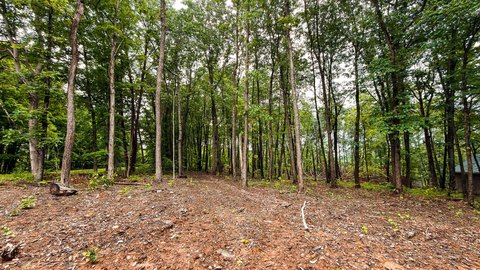 LAND - Bainbridge, OH