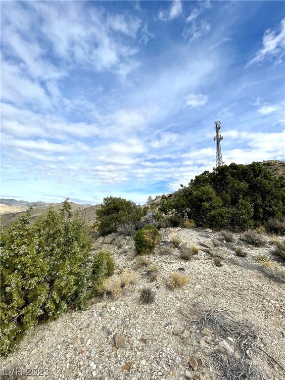 Picture 21